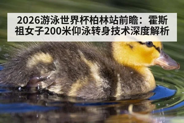 2026游泳世界杯柏林站前瞻:霍斯祖女子200米仰泳转身技术深度解析